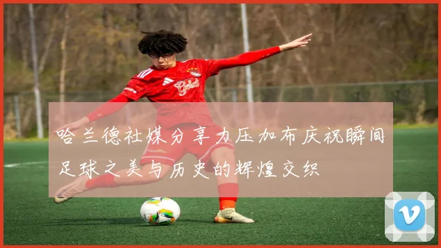 哈兰德社媒分享力压加布庆祝瞬间足球之美与历史的辉煌交织
