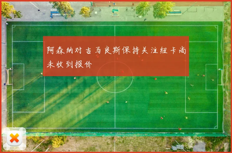 阿森纳对吉马良斯保持关注纽卡尚未收到报价